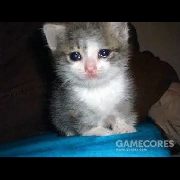 Meet your Posher, 新雨 - Picture 1 of 1